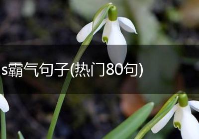 s霸气句子(热门80句)