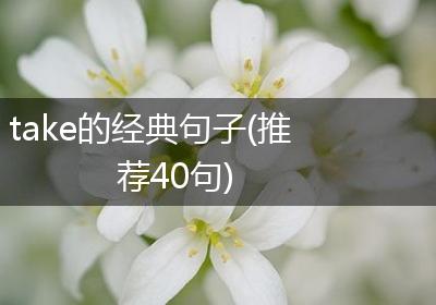 take的经典句子(推荐40句)