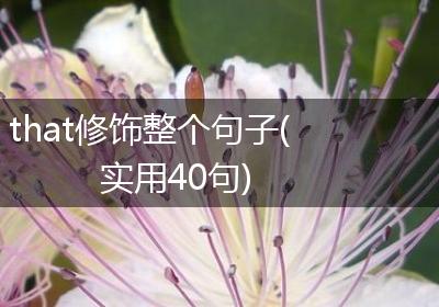 that修饰整个句子(实用40句)