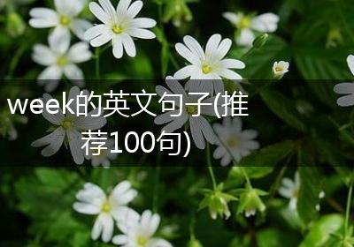 week的英文句子(推荐100句)