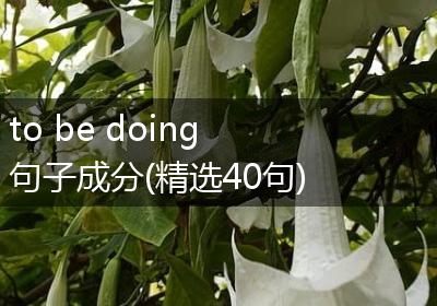 to be doing句子成分(精选40句)