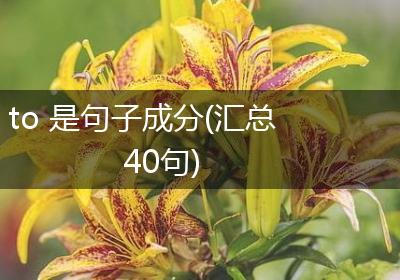 to 是句子成分(汇总40句)