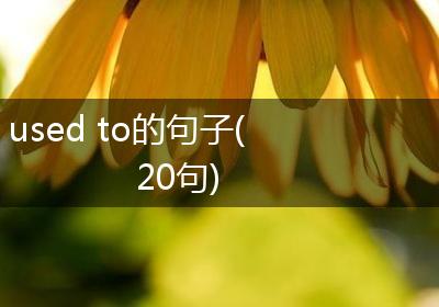 used to的句子(20句)