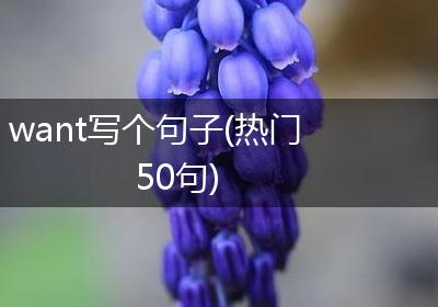 want写个句子(热门50句)