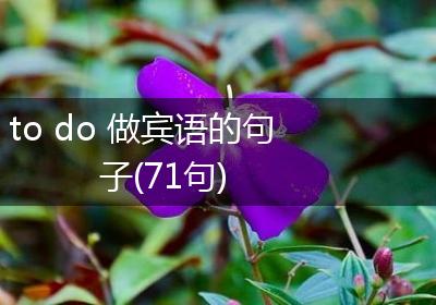 to do 做宾语的句子(71句)