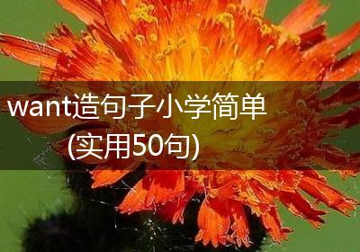 want造句子小学简单(实用50句)