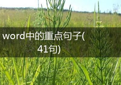 word中的重点句子(41句)