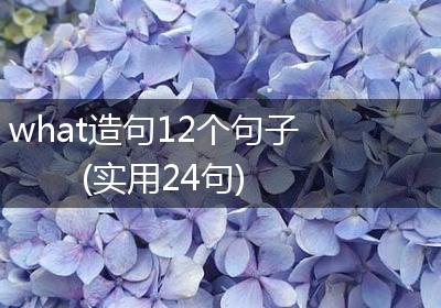 what造句12个句子(实用24句)