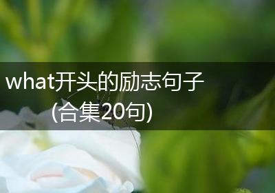 what开头的励志句子(合集20句)