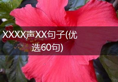 XXXX声XX句子(优选60句)