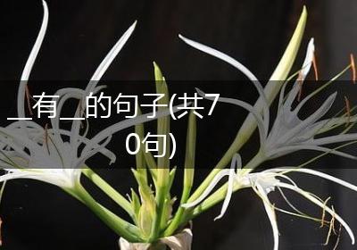 __有__的句子(共70句)