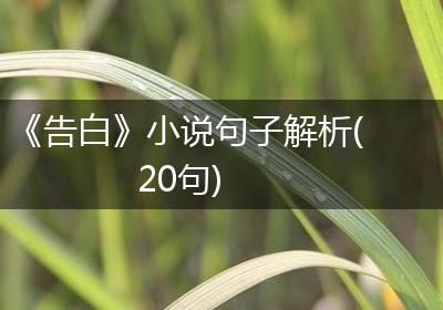 《告白》小说句子解析(20句)