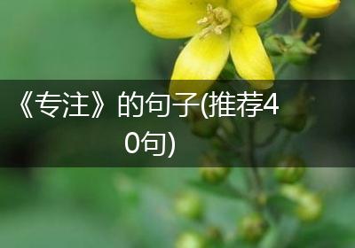 《专注》的句子(推荐40句)