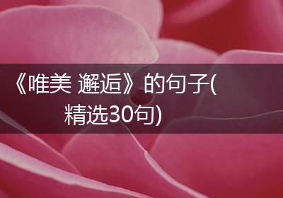 《唯美 邂逅》的句子(精选30句)