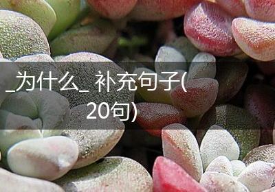 _为什么_ 补充句子(20句)