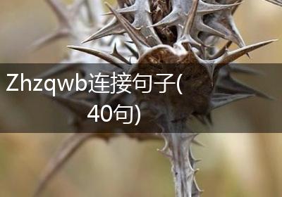 Zhzqwb连接句子(40句)