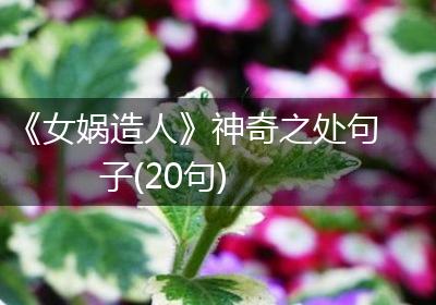《女娲造人》神奇之处句子(20句)
