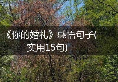 《你的婚礼》感悟句子(实用15句)