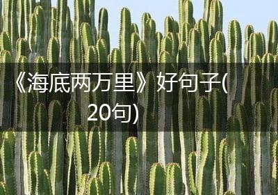 《海底两万里》好句子(20句)