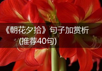 《朝花夕拾》句子加赏析(推荐40句)