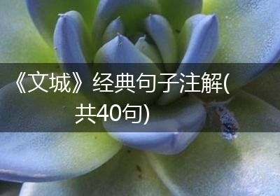 《文城》经典句子注解(共40句)