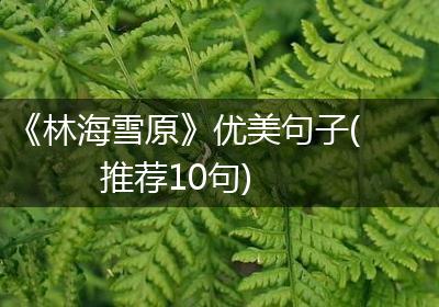 《林海雪原》优美句子(推荐10句)