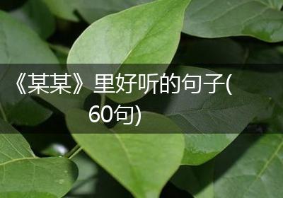 《某某》里好听的句子(60句)