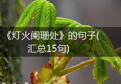 《灯火阑珊处》的句子(汇总15句)