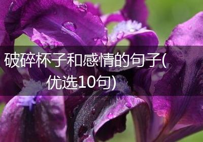 破碎杯子和感情的句子(优选10句)