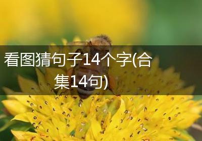看图猜句子14个字(合集14句)