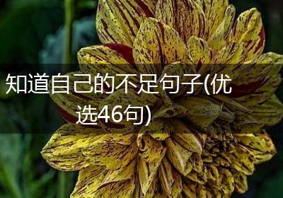 知道自己的不足句子(优选46句)