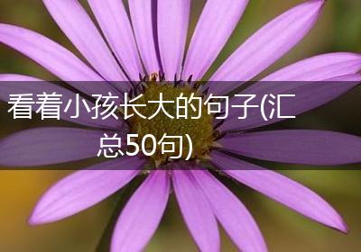 看着小孩长大的句子(汇总50句)