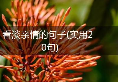 看淡亲情的句子(实用20句)