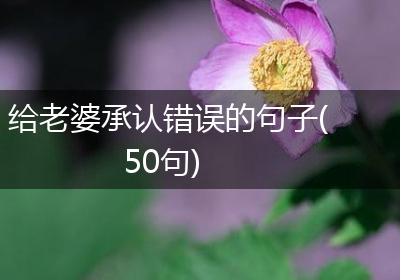 给老婆承认错误的句子(50句)