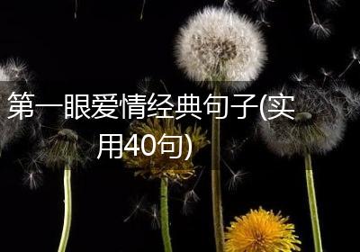 第一眼爱情经典句子(实用40句)
