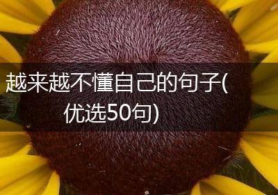 越来越不懂自己的句子(优选50句)