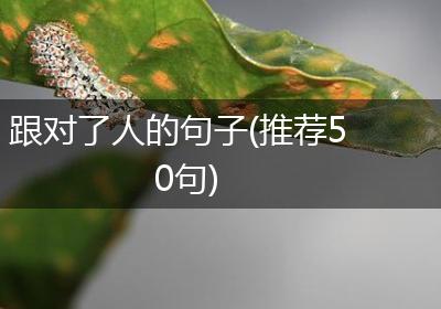 跟对了人的句子(推荐50句)