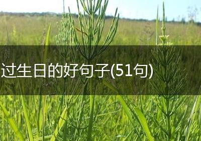 过生日的好句子(51句)