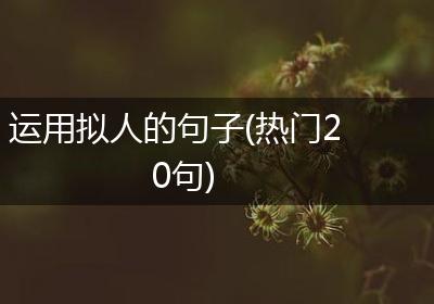 运用拟人的句子(热门20句)