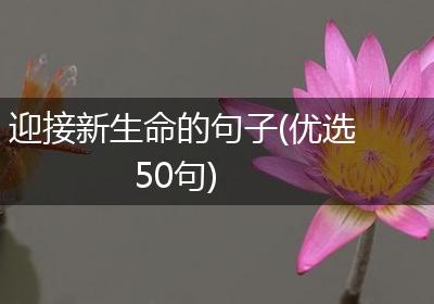 迎接新生命的句子(优选50句)