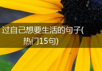 过自己想要生活的句子(热门15句)