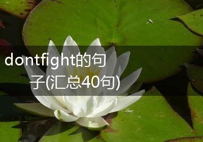 dontfight的句子(汇总40句)