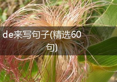 de来写句子(精选60句)