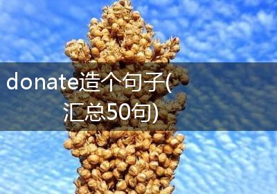 donate造个句子(汇总50句)