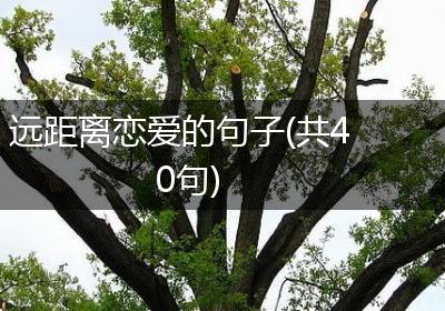远距离恋爱的句子(共40句)