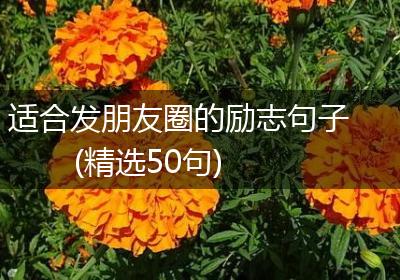 适合发朋友圈的励志句子(精选50句)