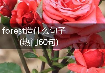 forest造什么句子(热门60句)