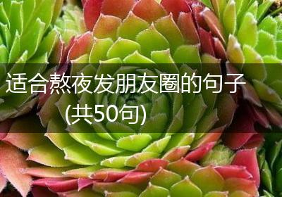 适合熬夜发朋友圈的句子(共50句)