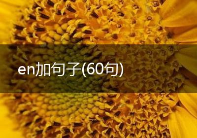 en加句子(60句)