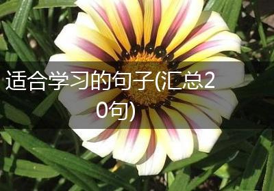 适合学习的句子(汇总20句)